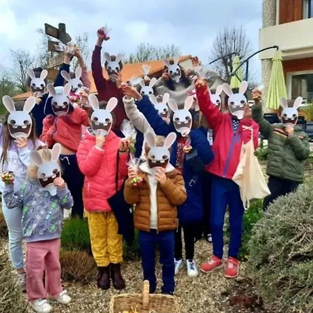 Camping Avec Clim, Animaux Ok - 6 Pers. - Api-1-52-2965 Coulon